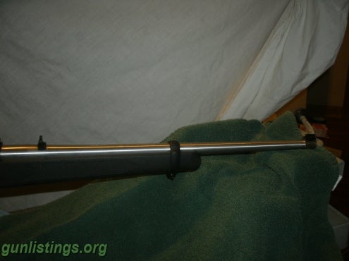 Rifles Ruger 10/22 Stainless/synthetic VGC