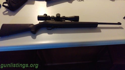 Rifles Ruger 10/22 With Upgrades