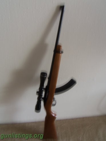 Rifles Ruger Carbine & Mossberg 12 Gauge (2)