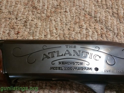 Shotguns Atlantic Remington Ducks Unlimited