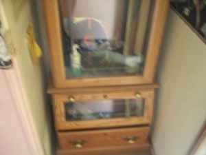 Misc Gun Cabinet W/ DEER Etched Glass