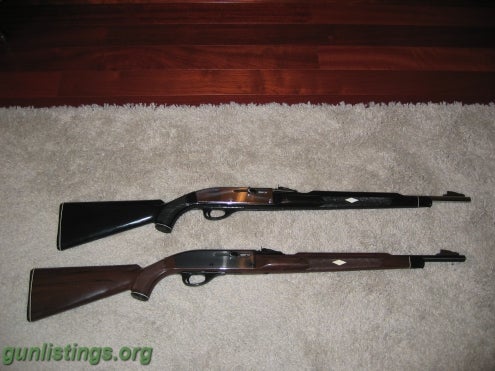 Rifles Remington Nylon 66 Bicentennial