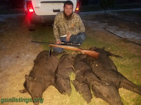 Misc Hog And Predator Hunting