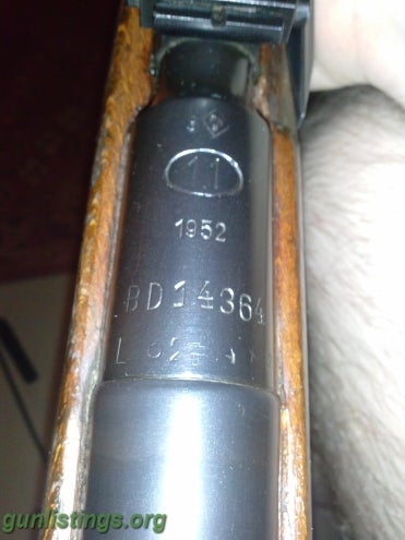 Rifles 1952 Polish M44