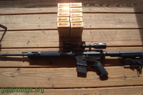 Rifles 450 Bushmaster Ready To Hunt With Ammo