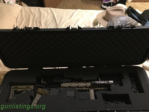 Rifles AR 15 W/ Case, 4 Mags And 120 Rounds