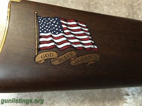 Rifles Henry Rifle, Military Service