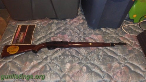Rifles Remington 66 Nylon