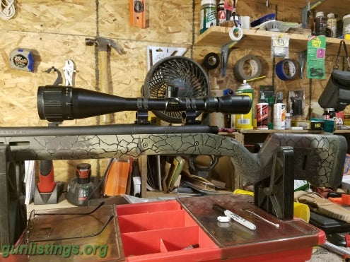 Rifles Remington 700 Tactical (customized)