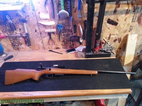 Rifles Remington Mod. 788 22-250