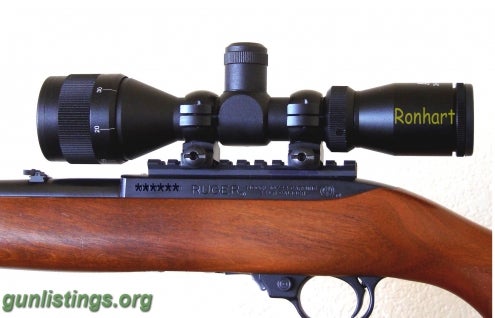 Rifles Ruger 1022 3-9x40AO  Target Scope Kit