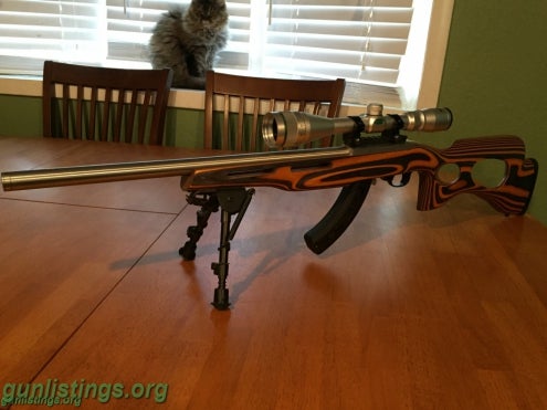 Rifles Ruger 10/22 Custom