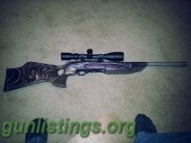 Rifles Ruger Custom 10 22