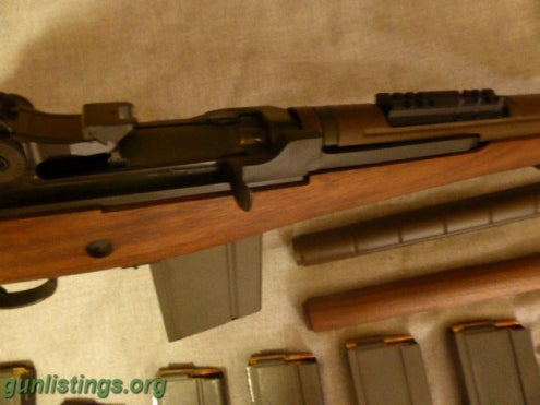 Rifles Springfield Scout Squad Package