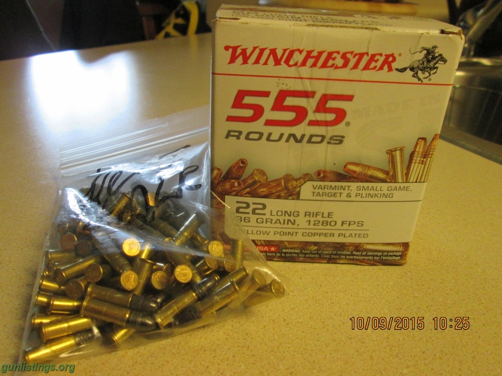Ammo Winchester 22LR Ammo