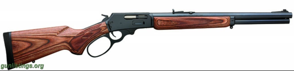Rifles 1895 GBL 45-70