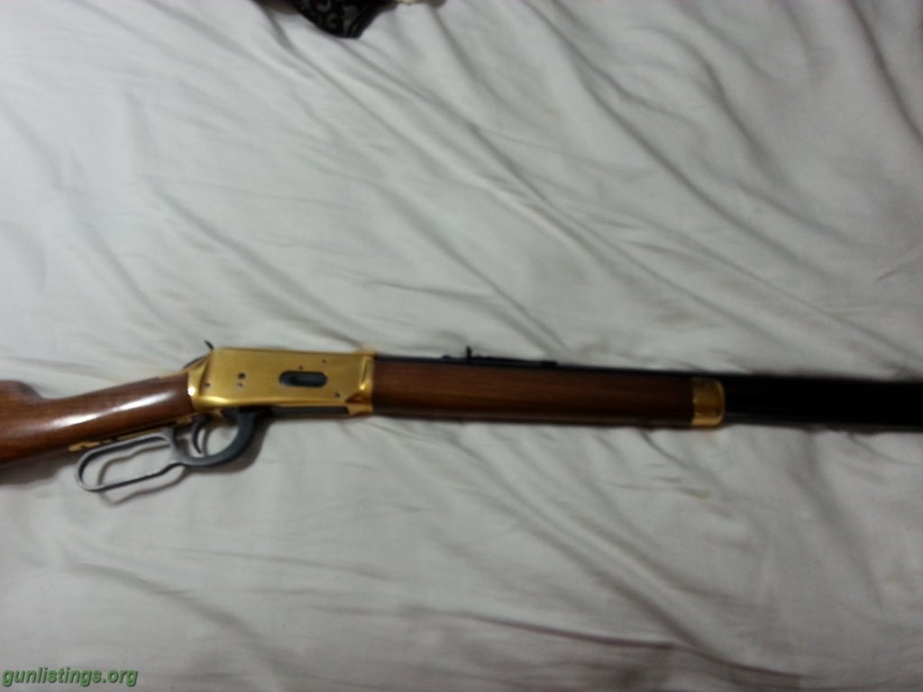 Rifles 1966 Winchester Centinel