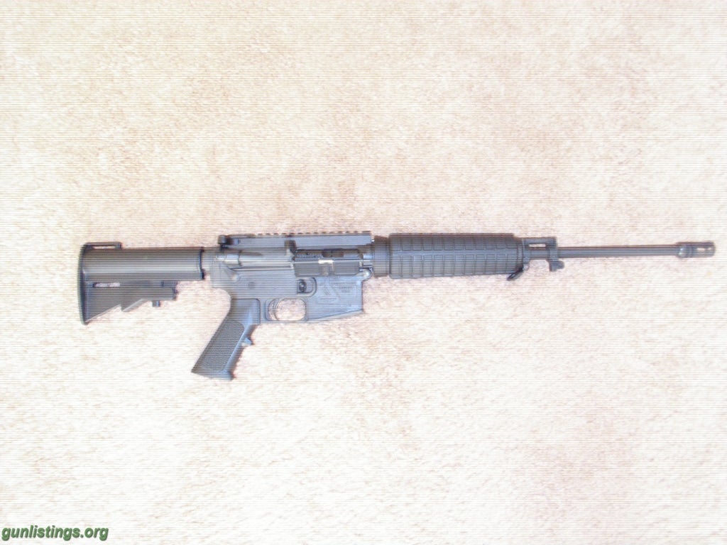 Rifles BUSHMASTER AR 15
