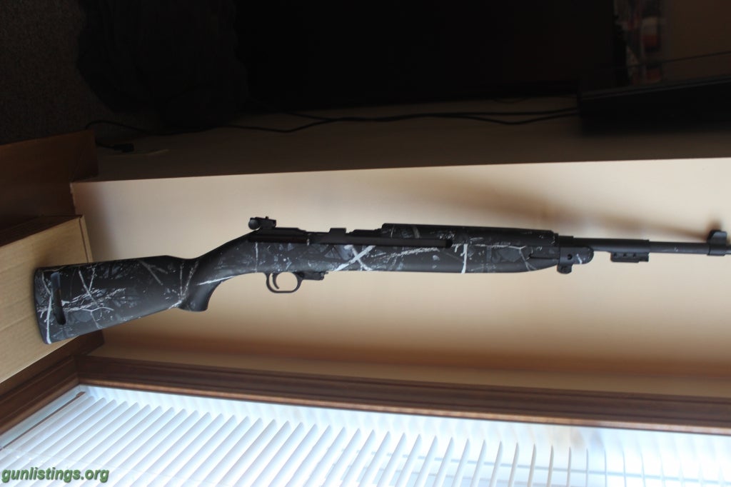 Rifles Chippa M-1 22