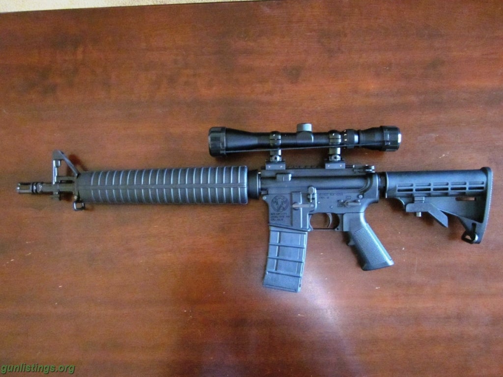 Rifles Del-Ton Dissipator AR With Scope