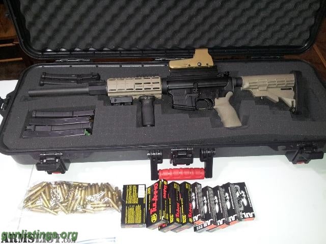 Rifles DPMS AR W/ Tapco Furniture, Plano Case, Mags, And Ammo