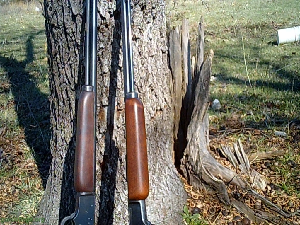 Rifles Marlin 39a