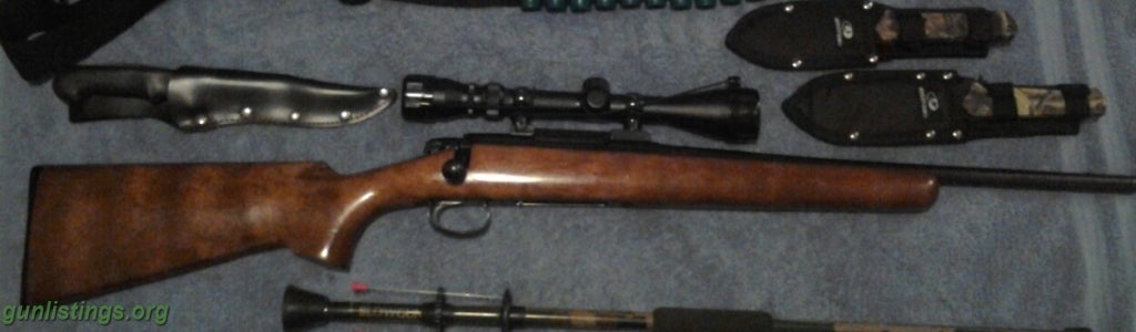 Rifles Remington 788 .243