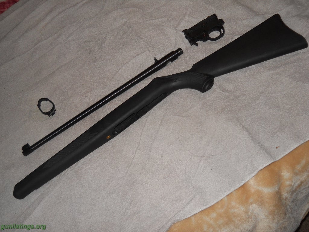 Rifles Ruger 10/22 Takeoff
