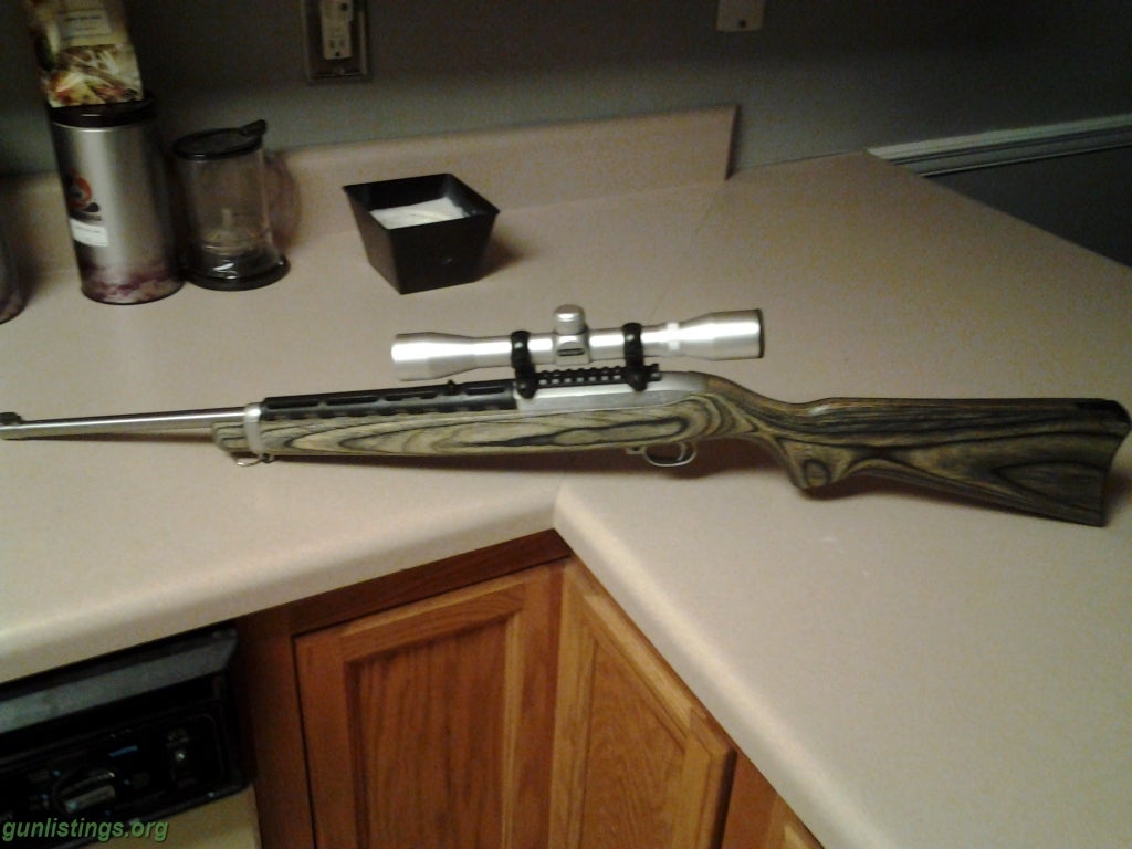 Rifles Stainless Ruger 1022