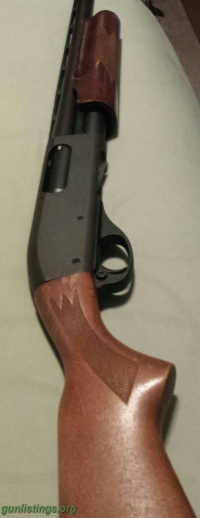 Shotguns Remington 870 Express 12ga