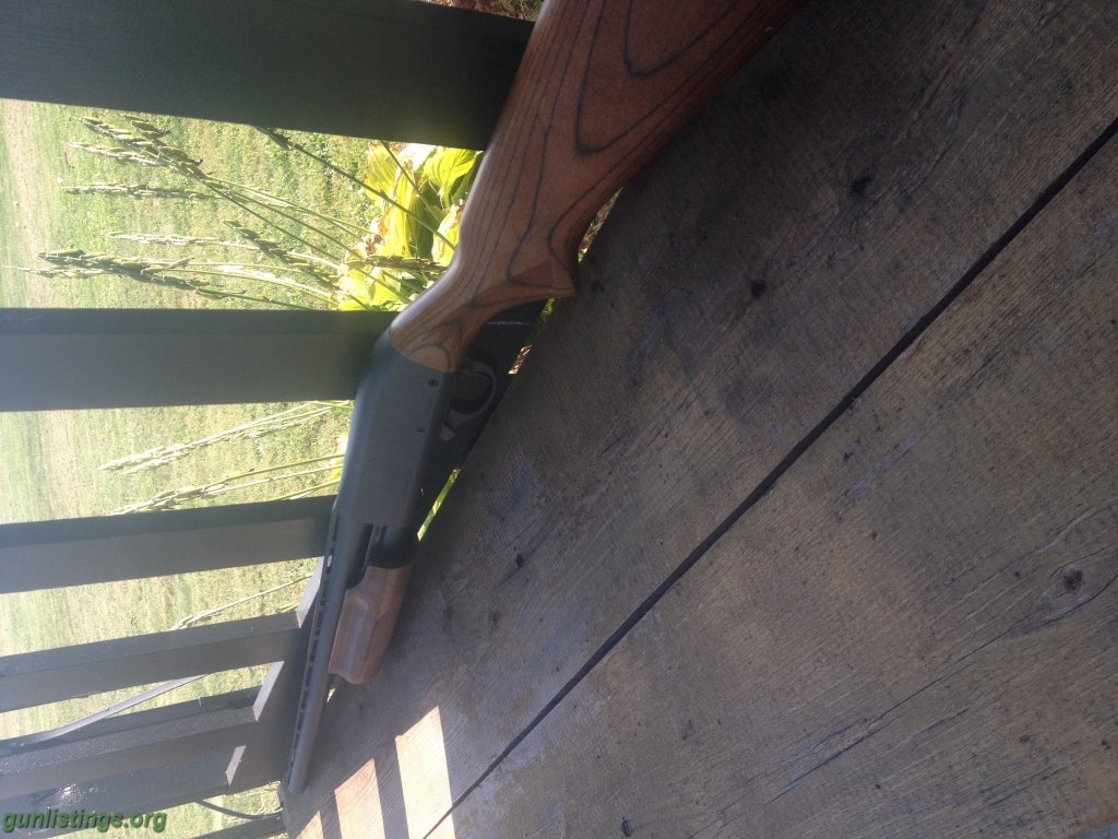 Shotguns Remington 870 Express