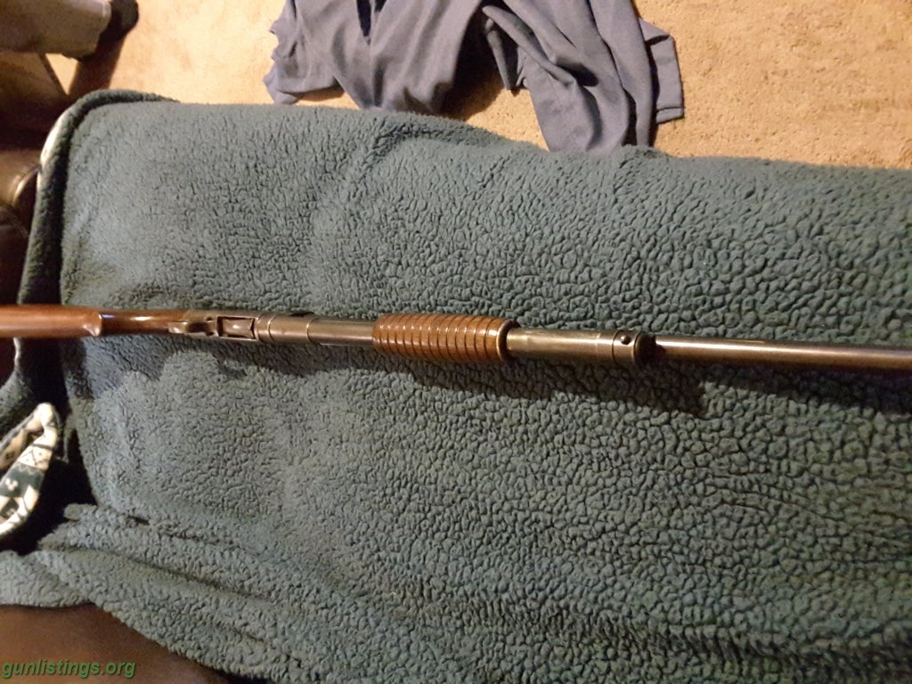 Shotguns Winchester 1912 20 Gauge