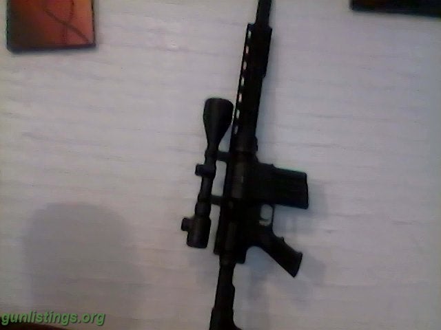 Rifles Bushmaster AR-10