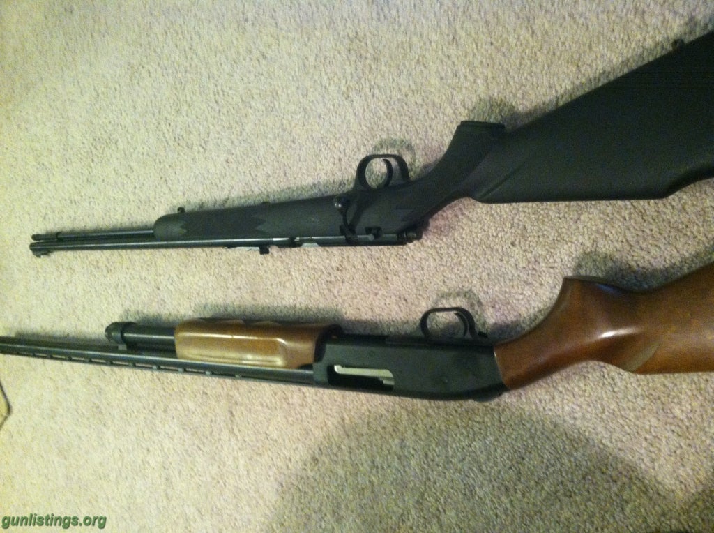 Rifles Combo: Rifle & Shotgun