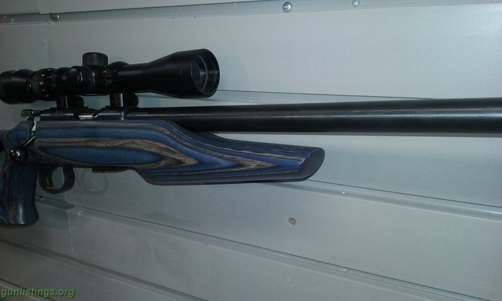 Rifles CZ 455 Evolution Varmit 22