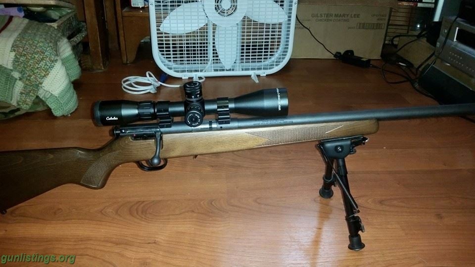 Rifles Savage 93R17