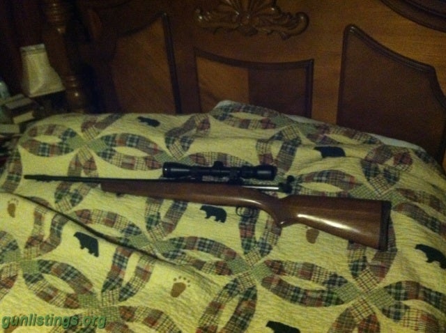 Rifles Savage Model 110   243 Cal