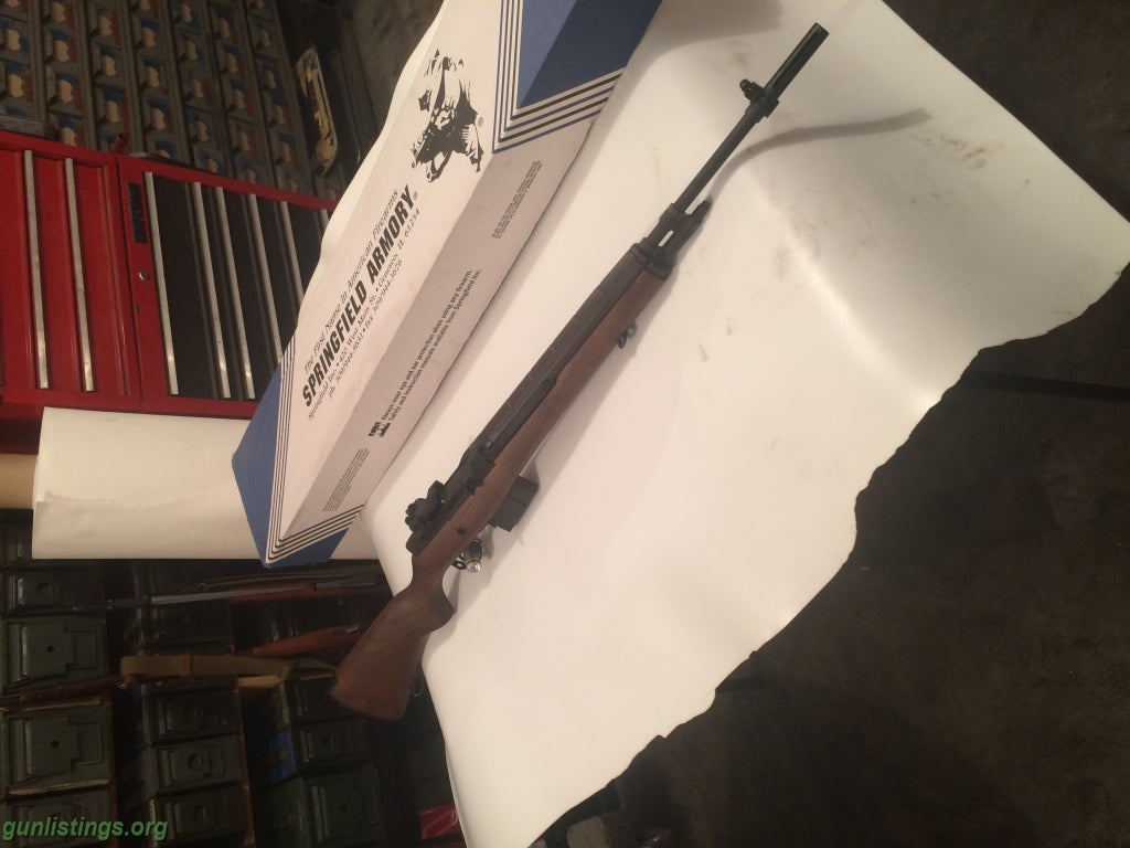 Rifles Springfield M1A