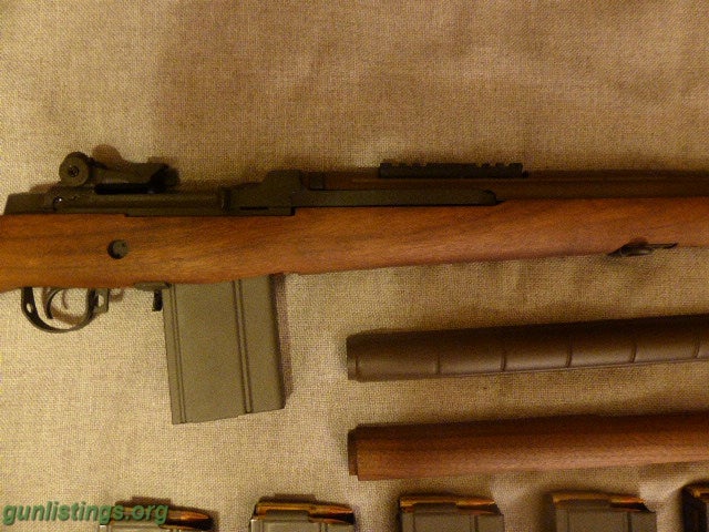 Rifles Springfield Scout Squad Package