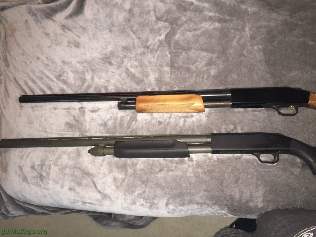 Shotguns Mossberg 835 And 535. 12g