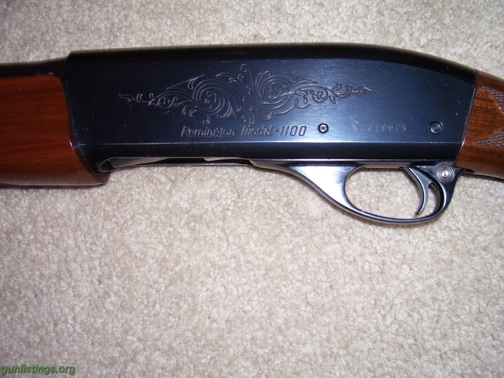 Shotguns Remington1100, 12 Ga., 4 BARRELS!