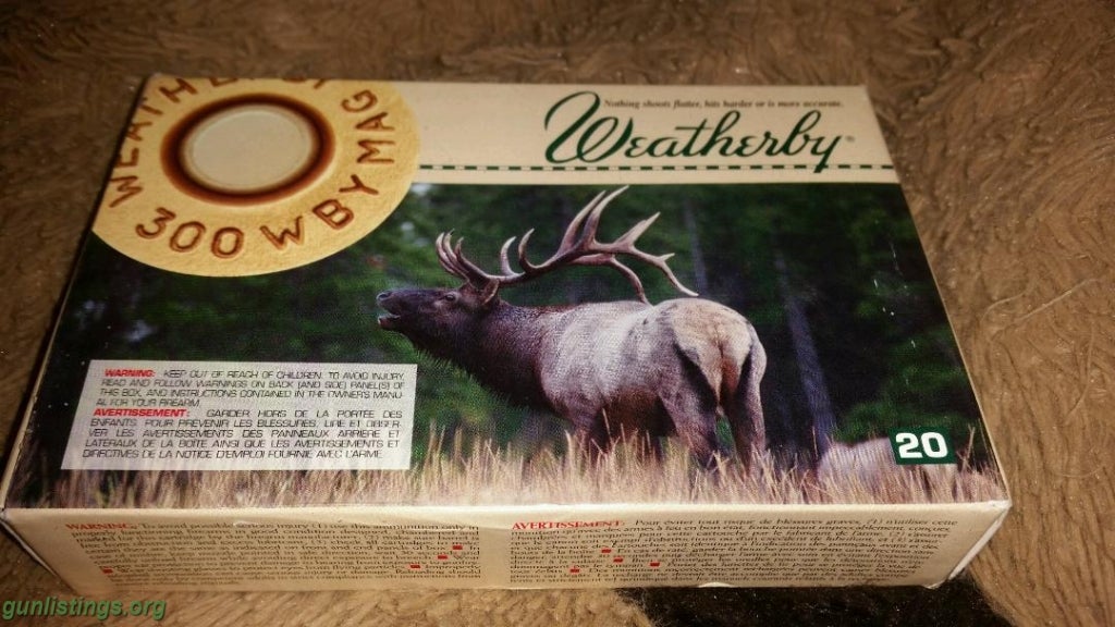 Ammo Weatherby 300 Mag Ammo