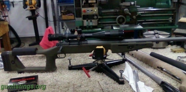 Rifles Custom .308