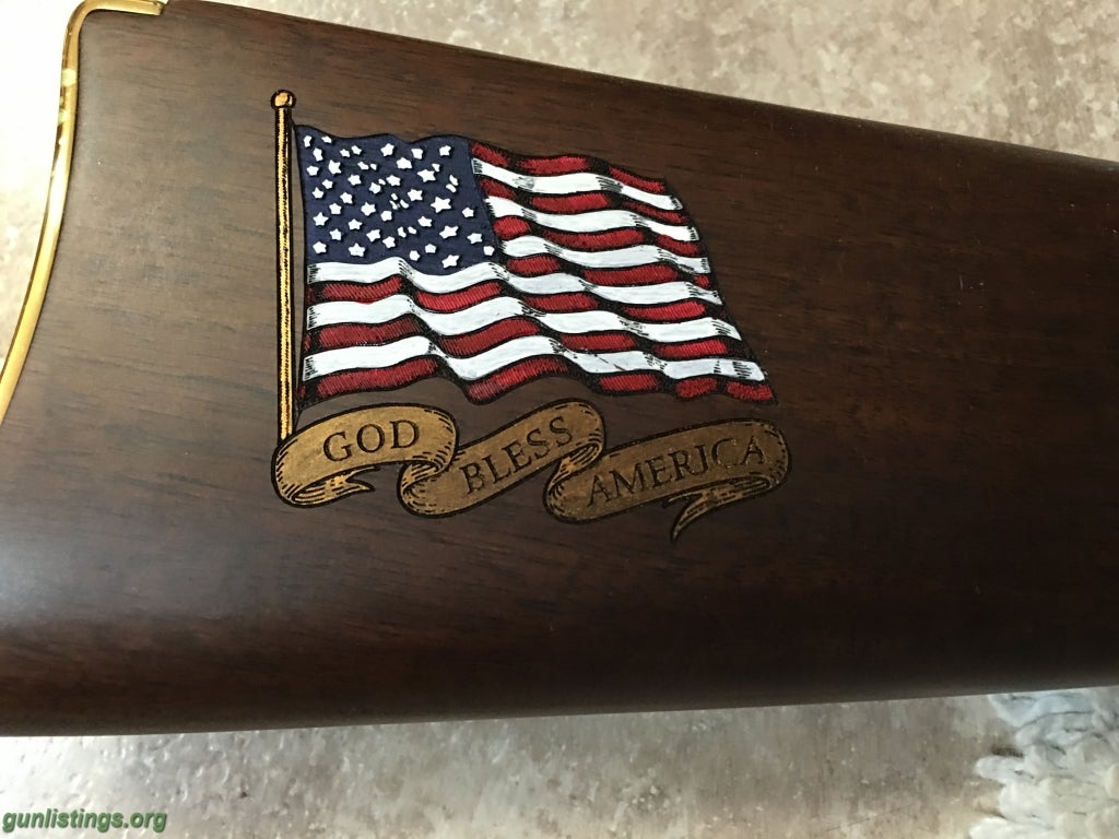 Rifles Henry Rifle, Military Service