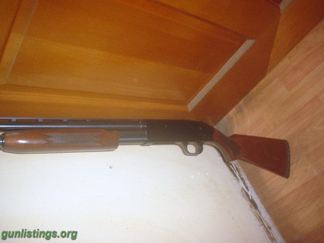 Shotguns Mossberg 500 20 Ga Pump