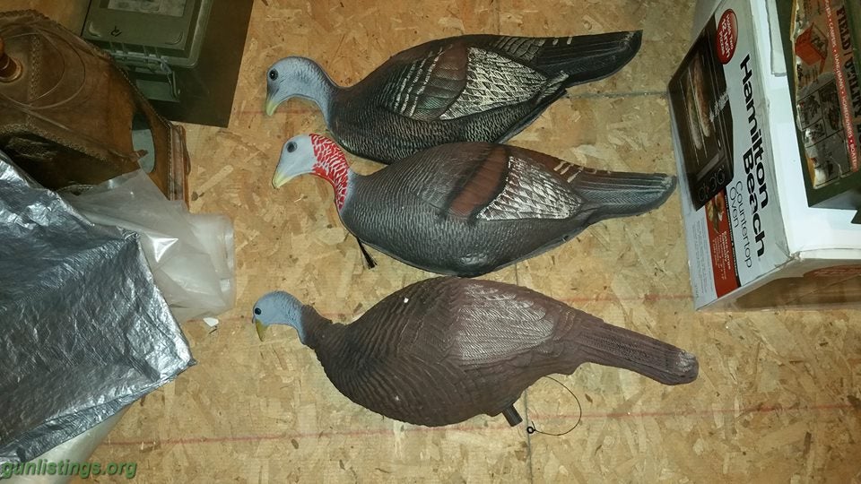 Shotguns Turkey Hunting Package