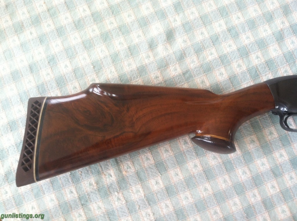 Shotguns Winchester Model 12