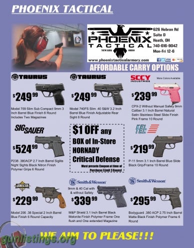 conceal pistols gunlistings
