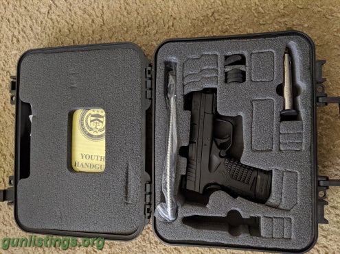Pistols Springfield XDS 9mm