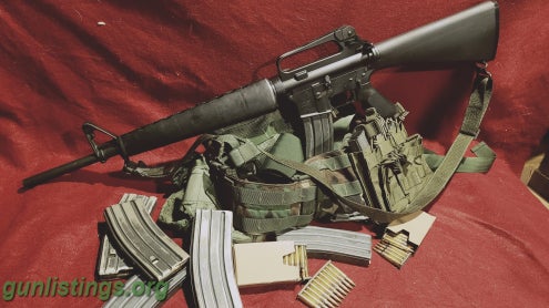 Rifles Bushmaster DCM Earlt Match A2/A1